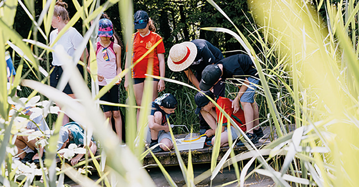 Le musée propose des expositions immersives, des animations en plein air et des espaces d\u2019échange. 