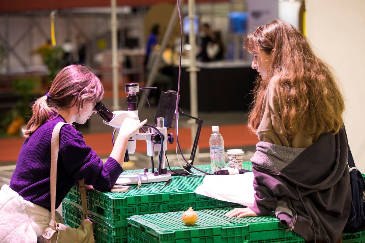 Les années suivant les Cités des Métiers voient toujours un bond de la demande et de l\u2019offre de places d\u2019apprentissage