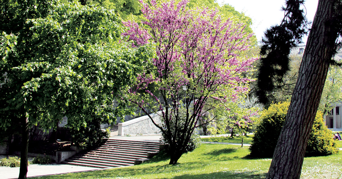 Parc des Bastions, Genève.