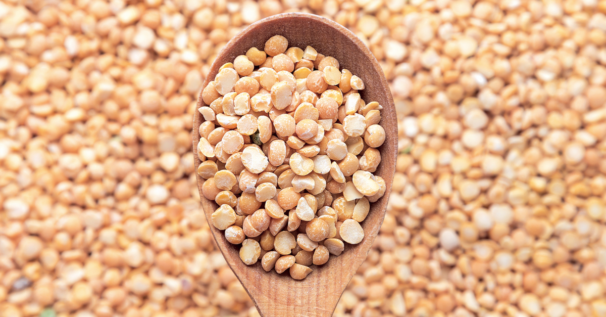 Après un incendie qui a ravagé ses locaux, l’entreprise de céréales Bossy a opéré un tournant: elle s’est lancée dans la production de protéines structurées, notamment à base de pois jaunes.