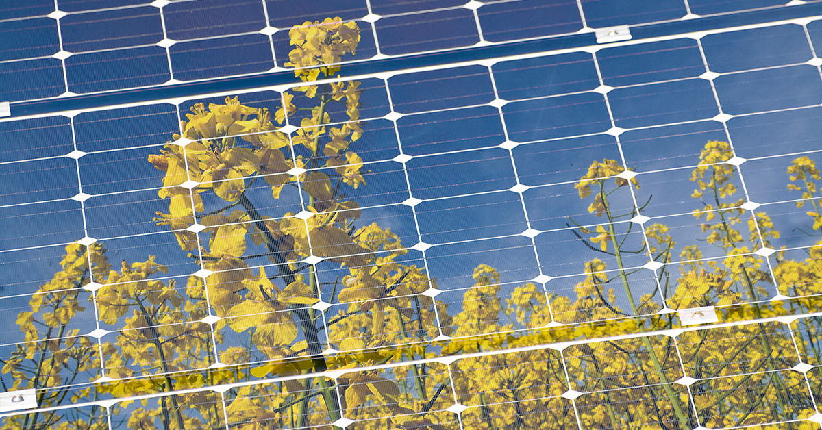 Limiter sa consommation de courant électrique? ProKilowatt propose des aides financières.